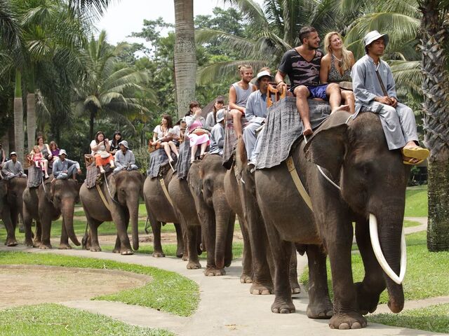 Elegant Bangkok & Pattaya & Phuket