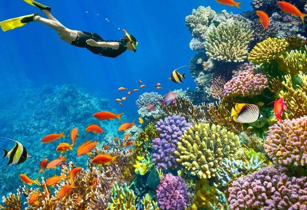 Promosyon Sharm El Sheikh Turu Ajet ile 5 Gece Transfer Saatine Kadar Otel Kullanımlı